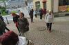 Greiz_009